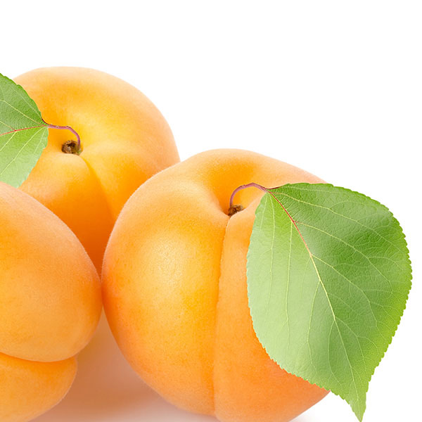 Aprikosenhälften